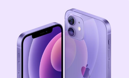 宁明苹果手机维修分享紫色版iPhone 12有什么技术亮点 