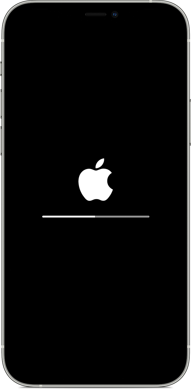 宁明苹果手机维修分享iPhone 12 无法更新系统、出现报错的解决办法 