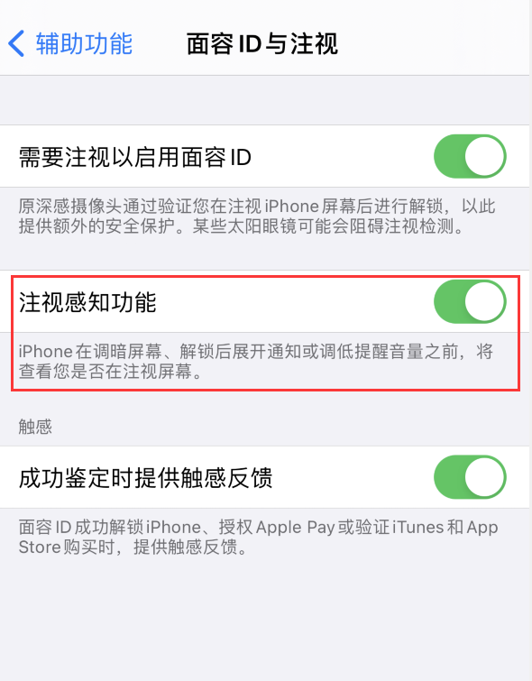 宁明苹果手机维修分享iPhone 12 不会自动锁屏怎么办 