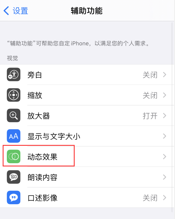 宁明苹果手机维修分享iPhone 12 退出应用时没有动画显示，如何设置 